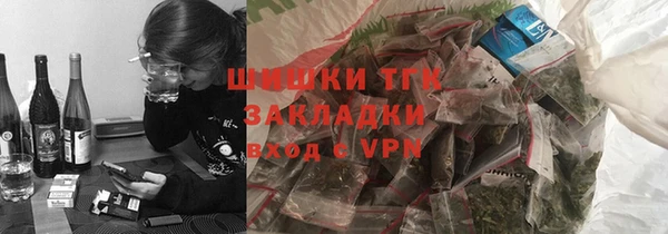 прущие грибы Новодвинск