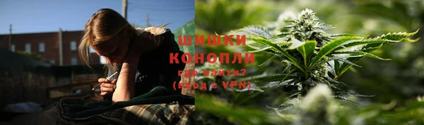 спайс Няндома