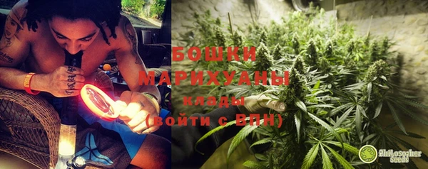 прущие грибы Новодвинск