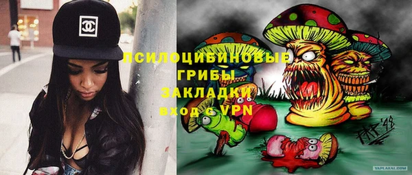 ешки Нягань