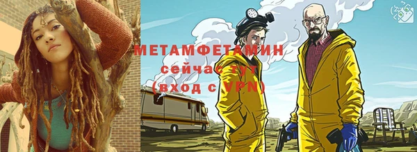 прущие грибы Новодвинск