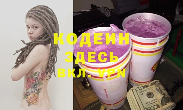 прущие грибы Новодвинск