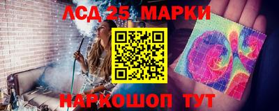 мяу мяу мука Гатчина