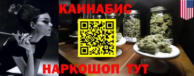не бодяженный Гай