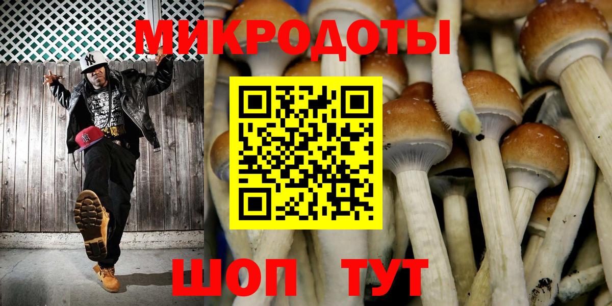 Севастополь  Псилоцибиновые грибы прущие грибы  Вход с VPN 