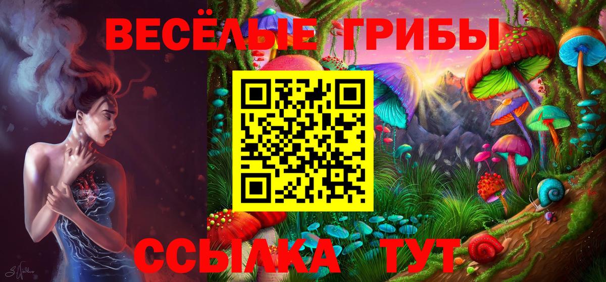 Галлюциногенные грибы GOLDEN TEACHER Севастополь