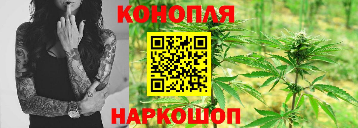 Бошки Шишки конопля Севастополь